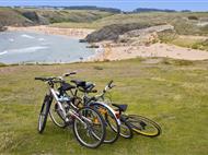 Locations Belle Ile en Mer