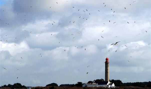 Locations Belle Ile en Mer