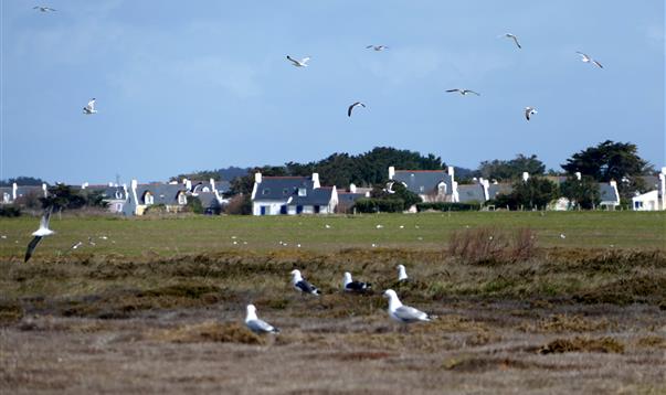 Locations Belle Ile en Mer